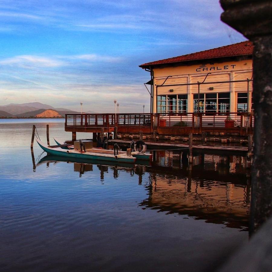 La Terrazza Del Pino Lägenhet Torre del Lago Puccini Exteriör bild