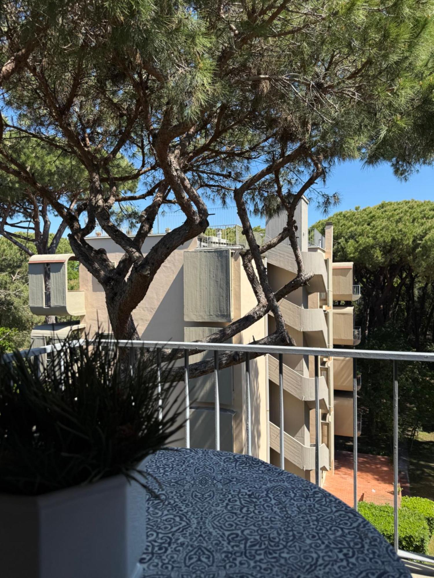 La Terrazza Del Pino Lägenhet Torre del Lago Puccini Exteriör bild